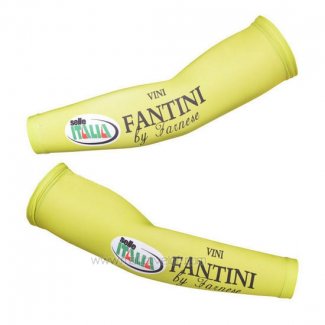 2013 Vini Fantini Manchettes Cyclisme